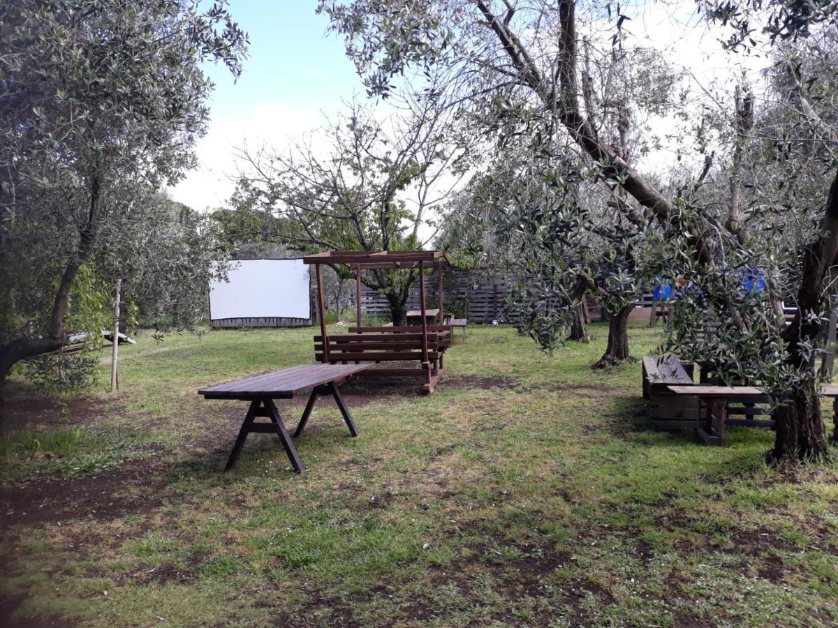 Bici Grill Decimo Miglio Aeroporto Ciampino Francigena Country House ภายนอก รูปภาพ